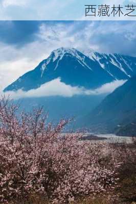 西藏林芝