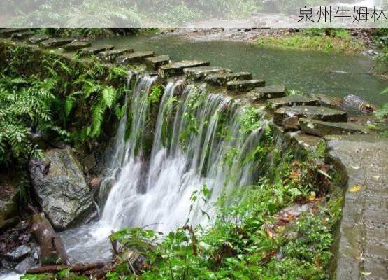 泉州牛姆林