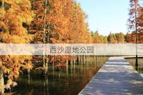 西沙湿地公园