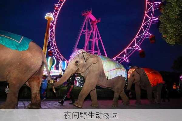 夜间野生动物园