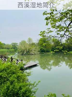 西溪湿地简介