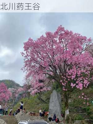 北川药王谷