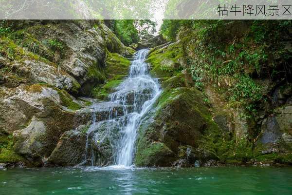 牯牛降风景区