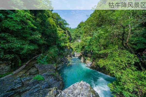 牯牛降风景区