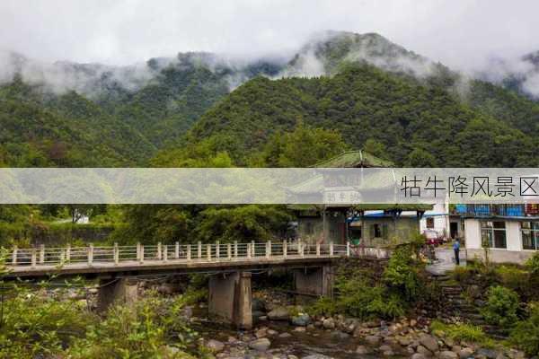 牯牛降风景区