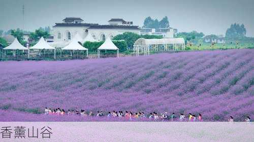 香薰山谷