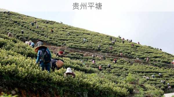 贵州平塘