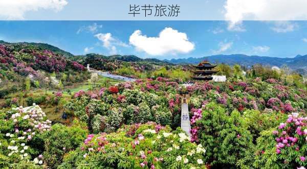 毕节旅游