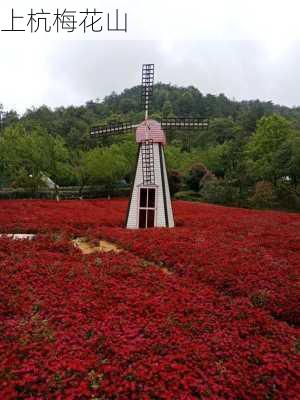 上杭梅花山