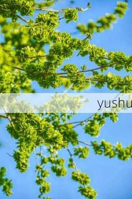 yushu