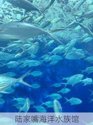 陆家嘴海洋水族馆