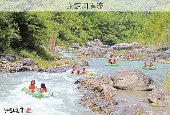 龙鲸河漂流