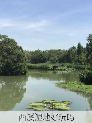 西溪湿地好玩吗