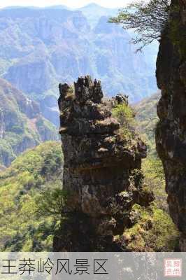 王莽岭风景区