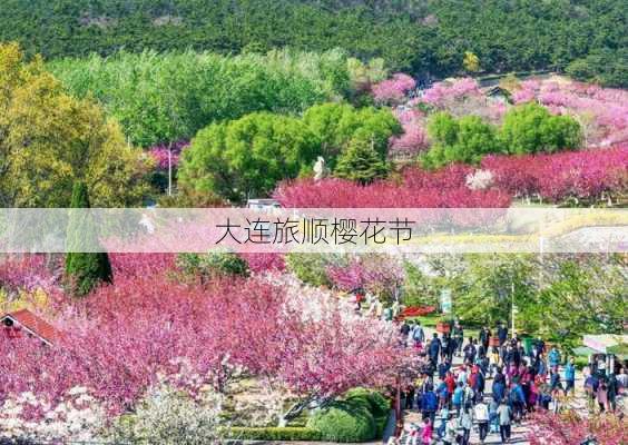 大连旅顺樱花节