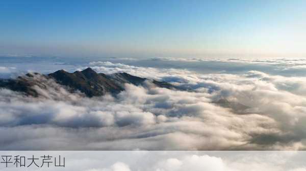 平和大芹山