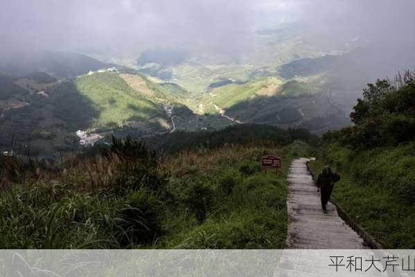 平和大芹山