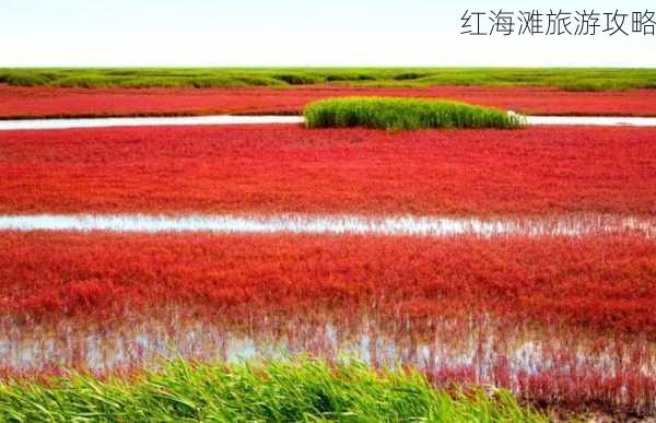 红海滩旅游攻略