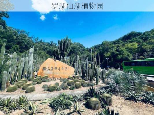 罗湖仙湖植物园