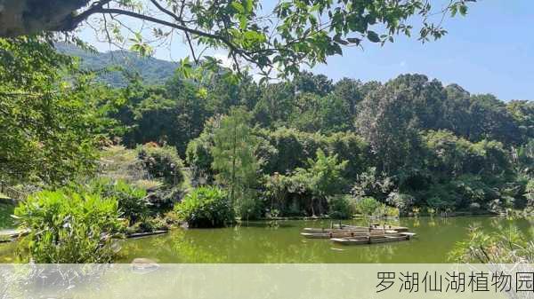 罗湖仙湖植物园