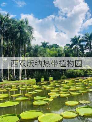 西双版纳热带植物园