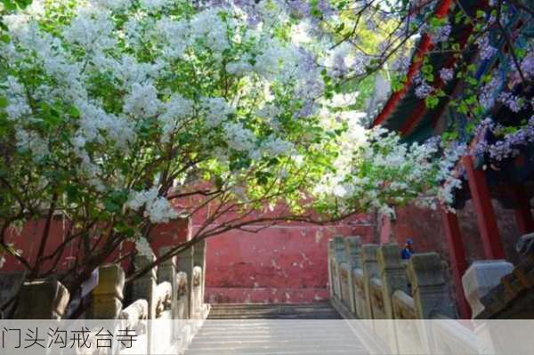 门头沟戒台寺