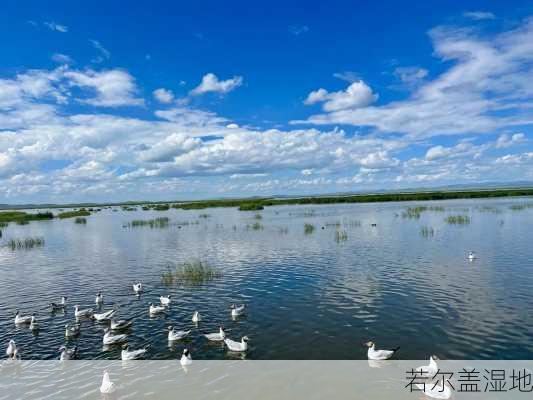 若尔盖湿地