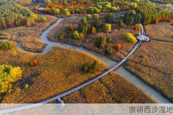 崇明西沙湿地