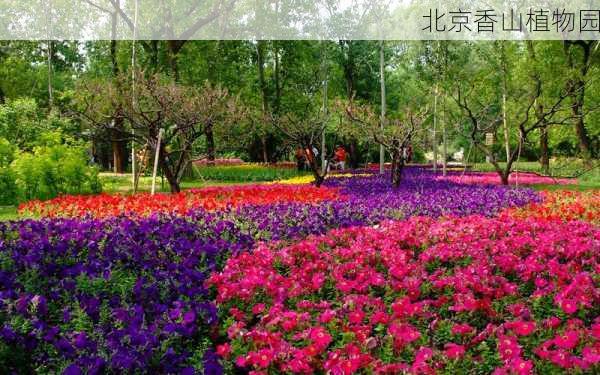 北京香山植物园