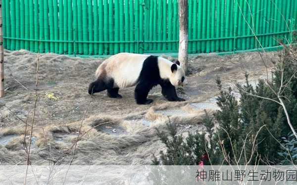 神雕山野生动物园