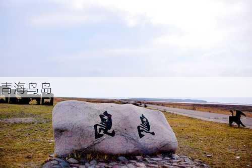 青海鸟岛