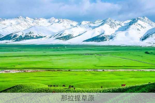 那拉提草原