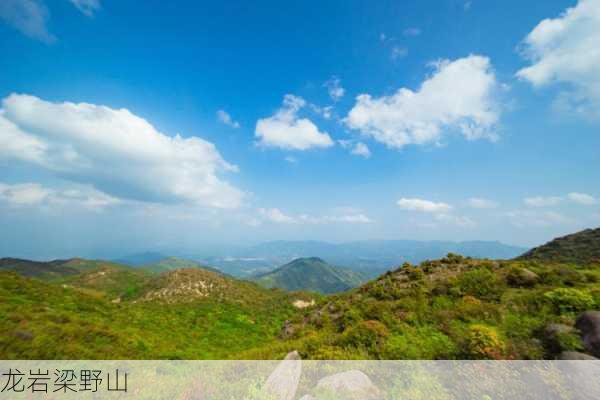 龙岩梁野山