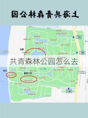 共青森林公园怎么去