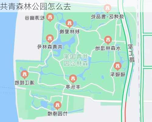 共青森林公园怎么去