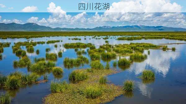 四川花湖