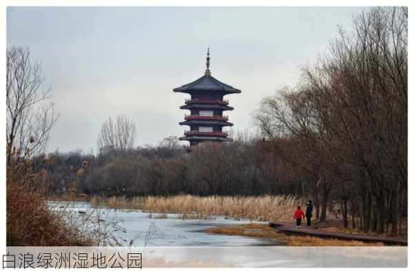 白浪绿洲湿地公园