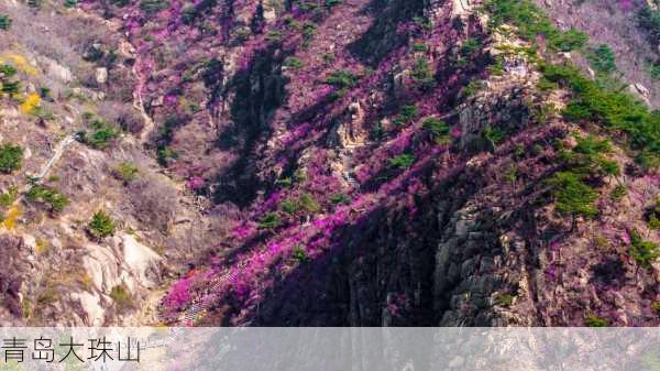 青岛大珠山