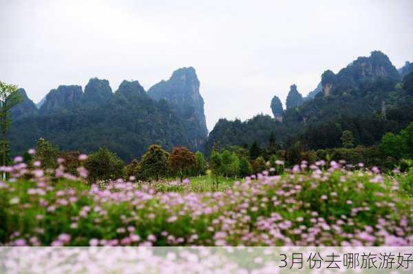 3月份去哪旅游好