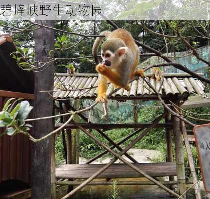 碧峰峡野生动物园