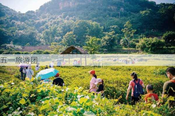 五一旅游团