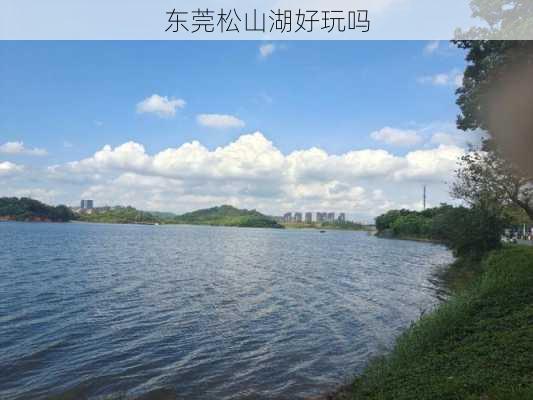 东莞松山湖好玩吗