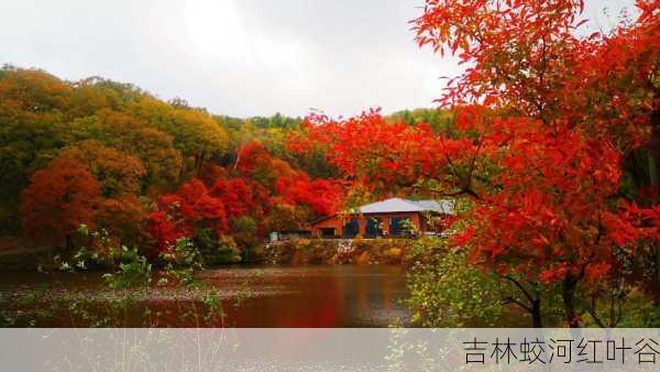 吉林蛟河红叶谷