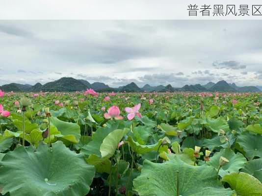 普者黑风景区