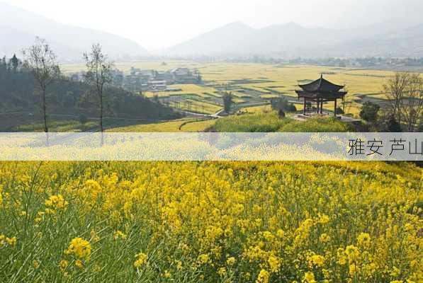 雅安 芦山