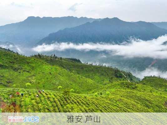 雅安 芦山