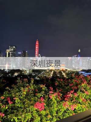 深圳夜景