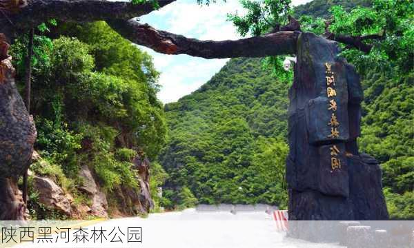 陕西黑河森林公园