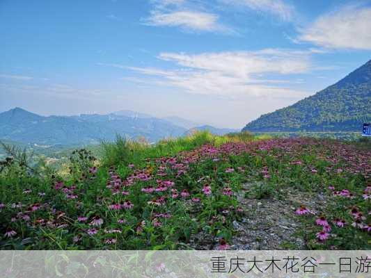 重庆大木花谷一日游