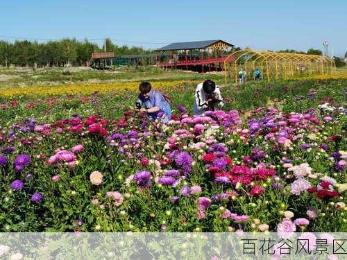 百花谷风景区